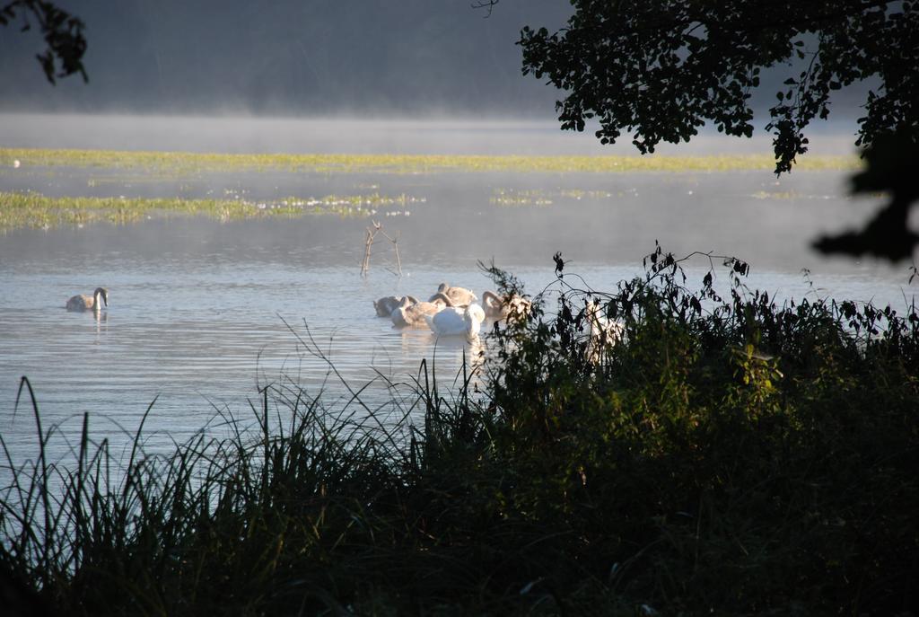 Natura