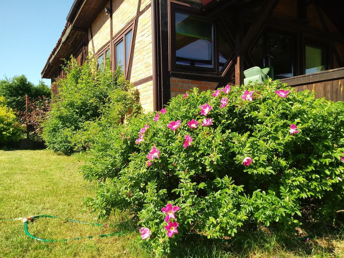 Natura Apartment *